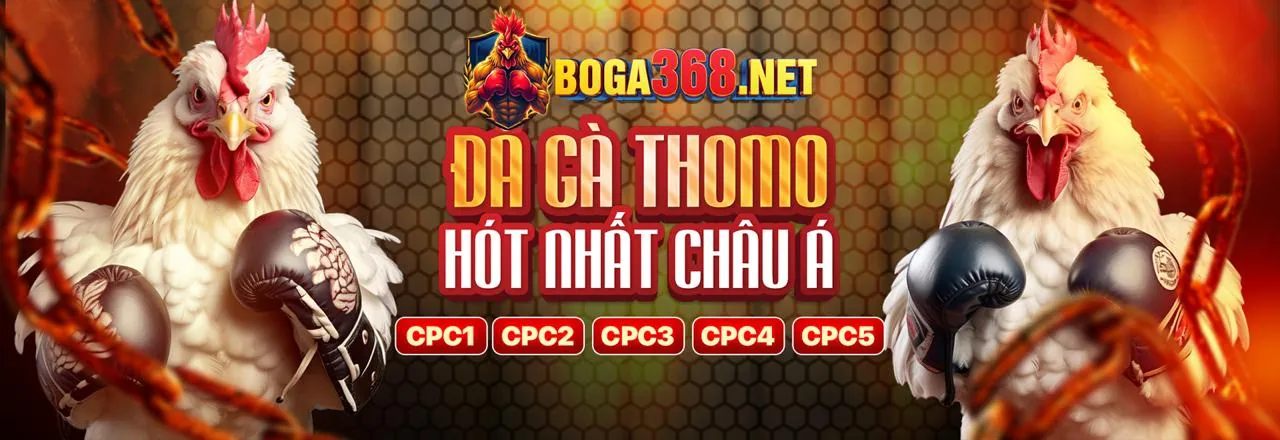Điều khoản dịch vụ q888 bet