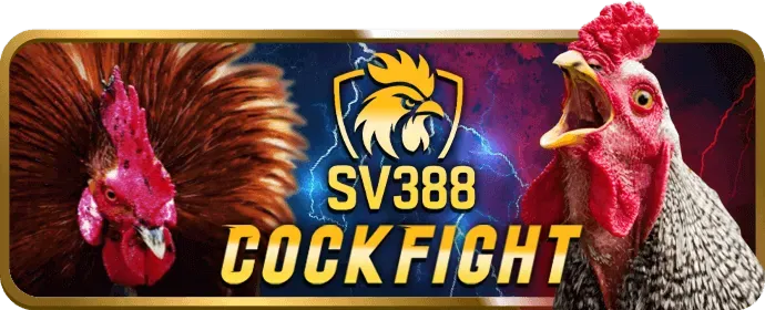 Thưởng giới thiệu bạn bè Q888 Bet